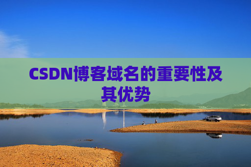 CSDN博客域名的重要性及其优势